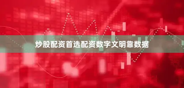 炒股配资首选配资数字文明靠数据
