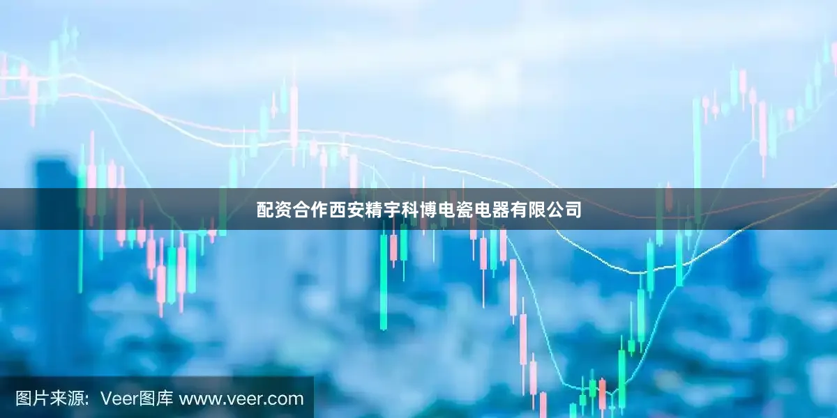 配资合作西安精宇科博电瓷电器有限公司