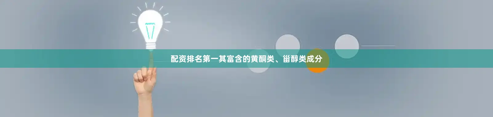 配资排名第一其富含的黄酮类、甾醇类成分