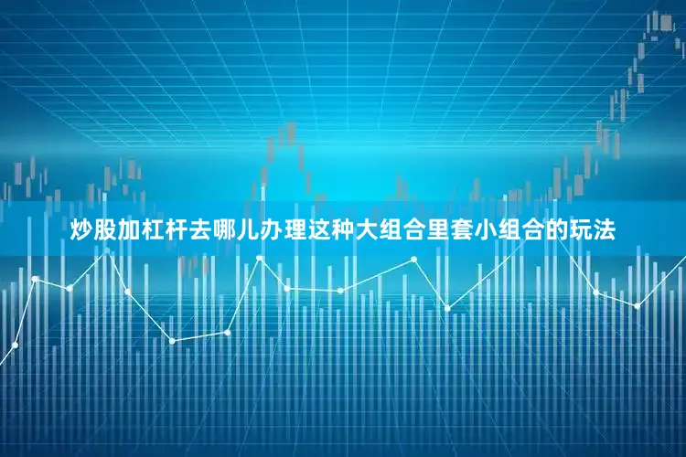 炒股加杠杆去哪儿办理这种大组合里套小组合的玩法